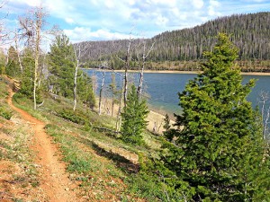 Mountain-Bike-Trail-at-Navajo-Lake