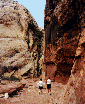 Capitol Reef Slot Canyons